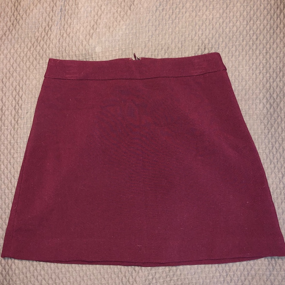 Express Mini Skirt
